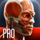 Anatomy In Motion - Complete